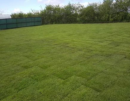Turfing in Derbyshire